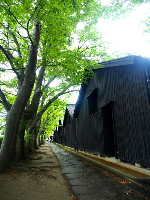 P8150854