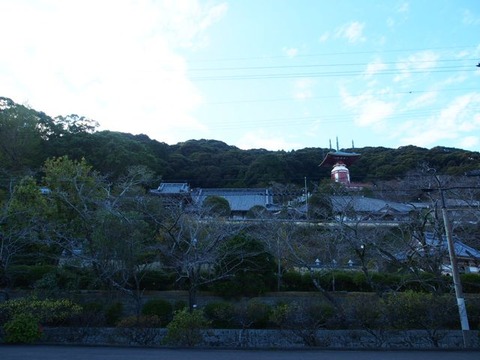 PA241681