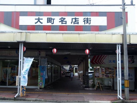 P8241257
