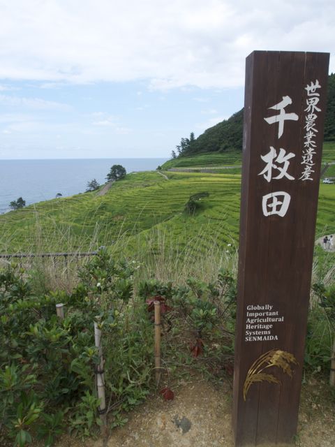 P8281392_2