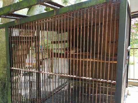 P5080684