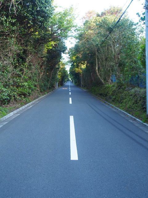 P4140558
