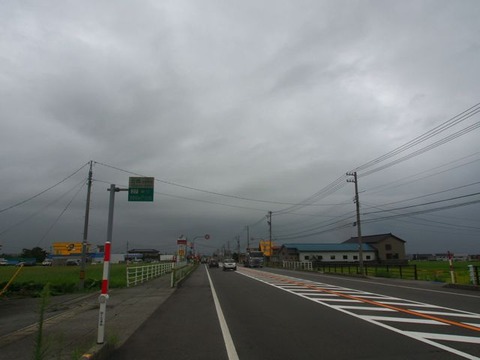 P8261292