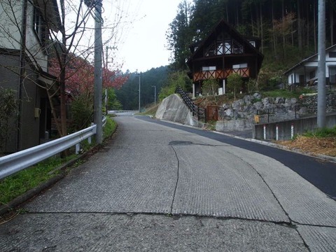 P4200062