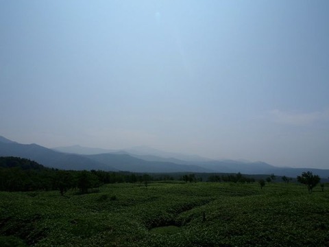 P7290338