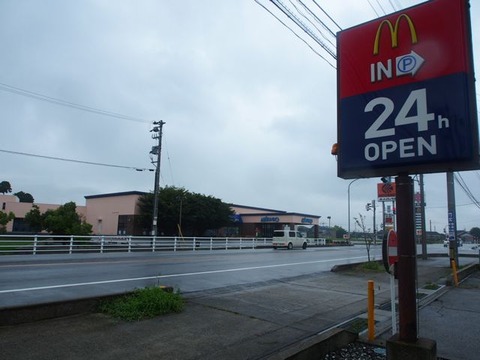P8261293