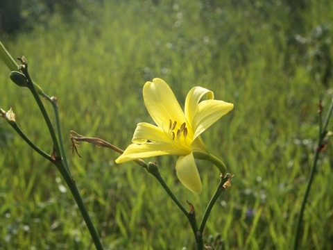 P7280304
