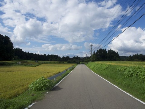 P8271362