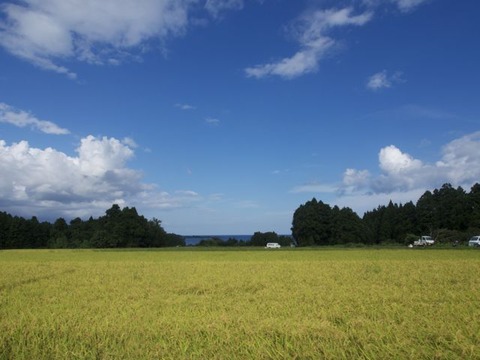P8271360