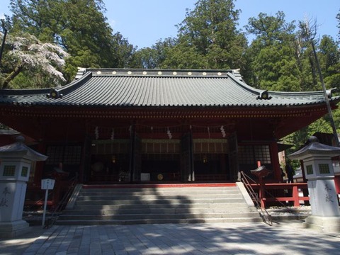P4230270
