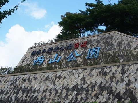 P9011613
