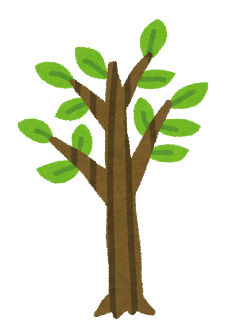 tree_seichou05