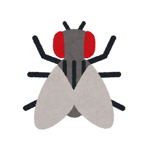 bug_mark14_hae