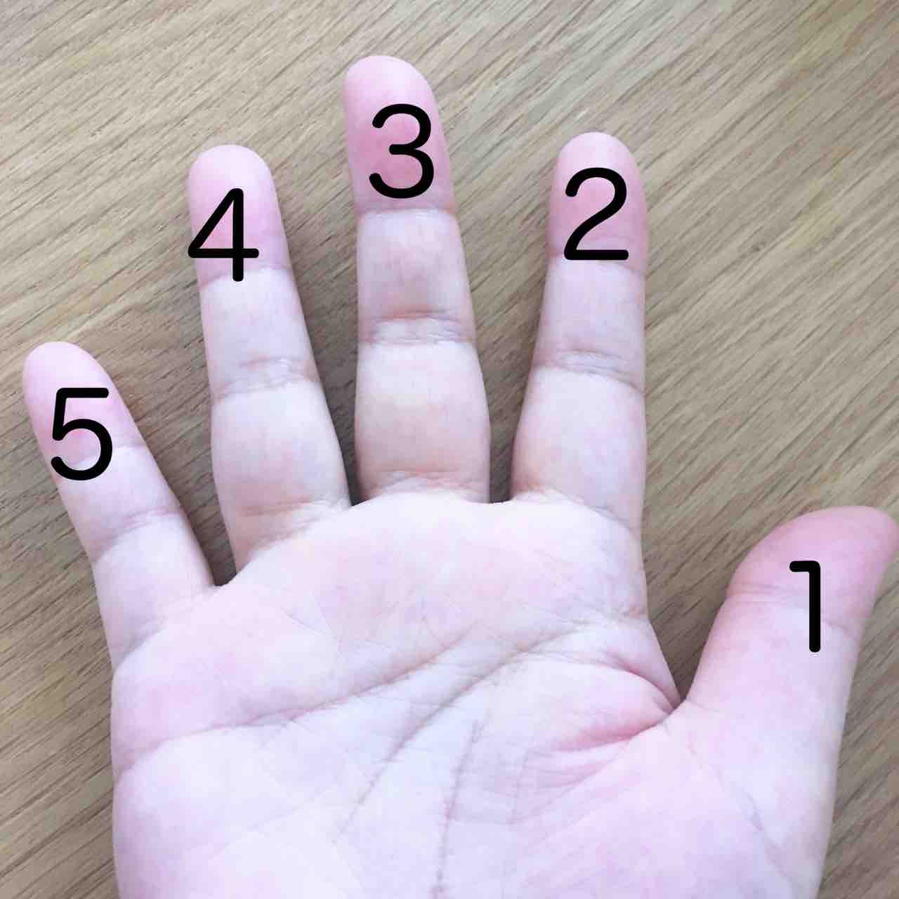 5の指のはなし②5の指(小指)だけを動かしてみる : つい ピアノ日記