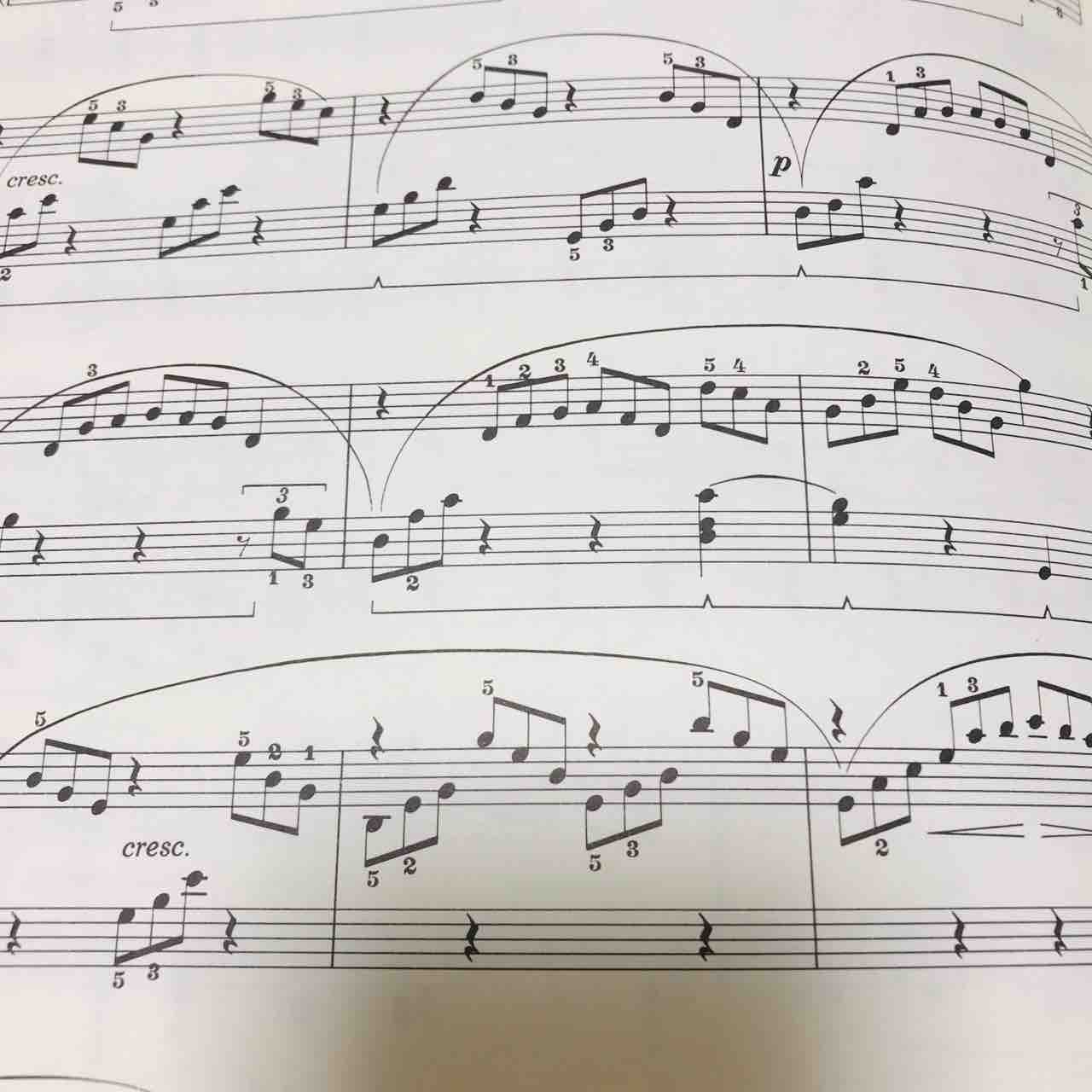 初見演奏とは 楽譜の見た目 大人ピアノ つい ピアノ日記