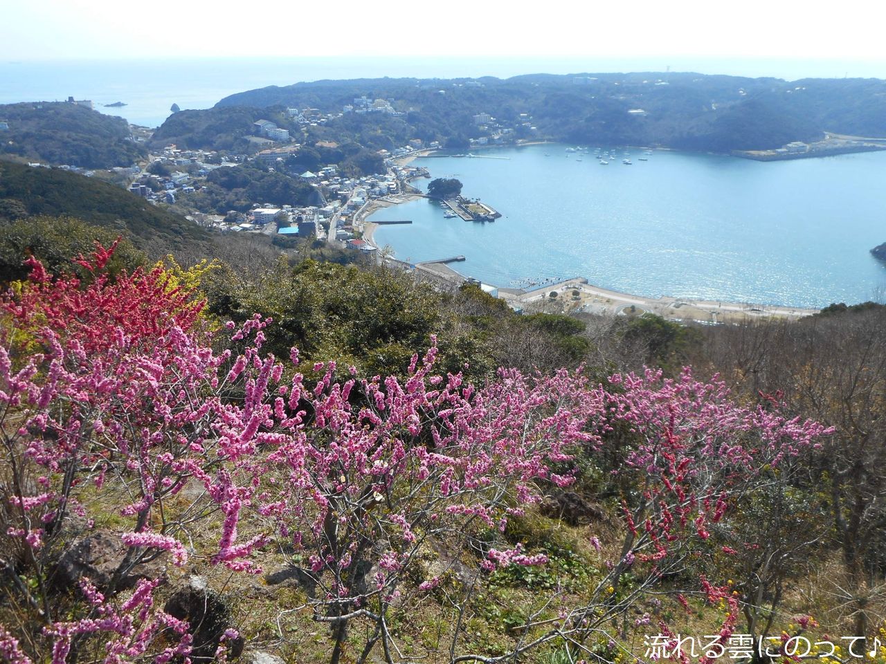 寝姿山ロープウェイ 流れる雲にのって