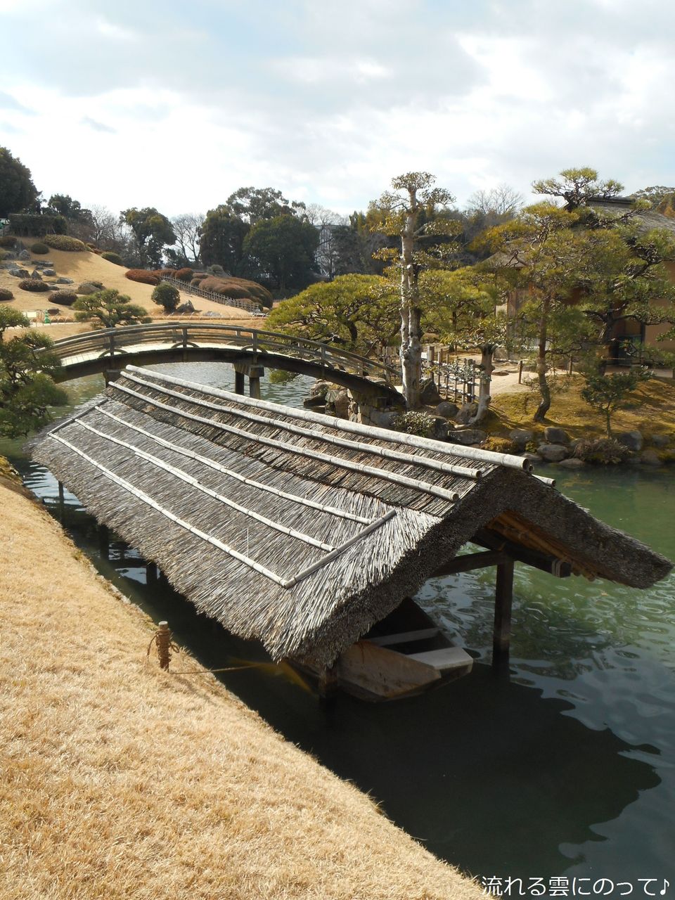 茶畑を眺めながら一服 流れる雲にのって