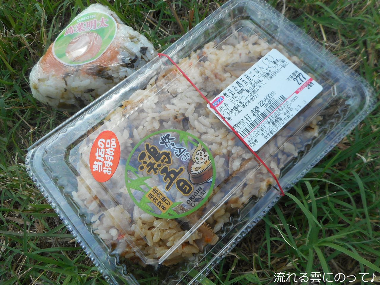 持ち帰り専門のオリジン 流れる雲にのって