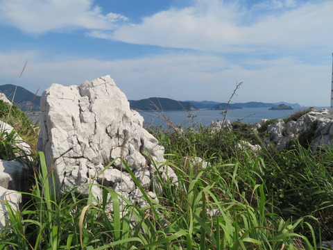 白崎海洋