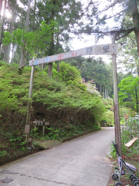 上分 花の隠里