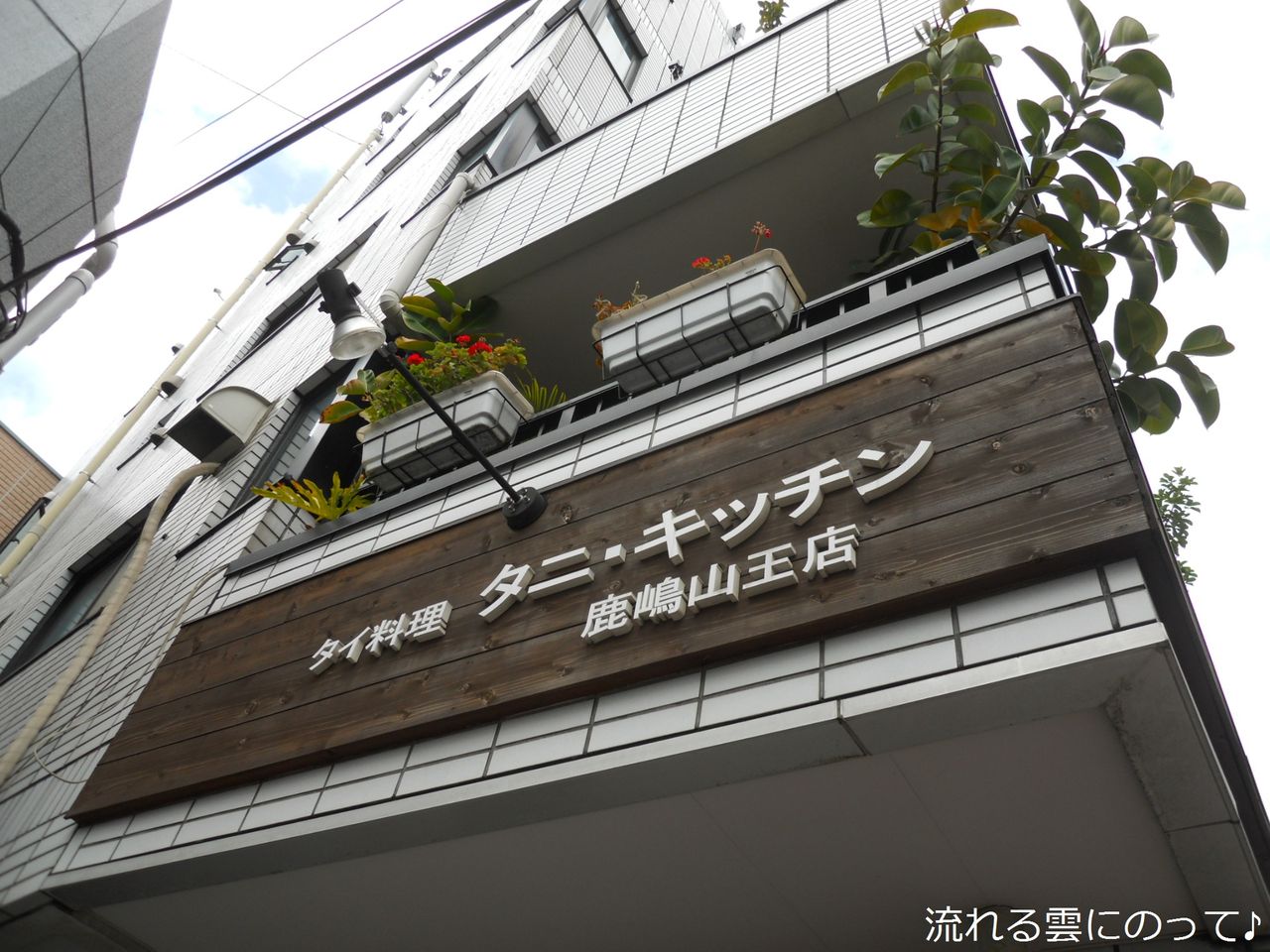 タニ キッチン 流れる雲にのって タニ キッチン 流れる雲にのって