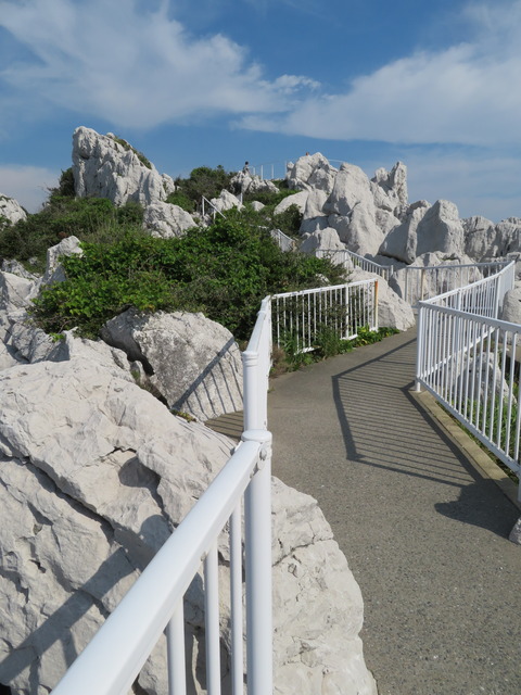 白崎海洋