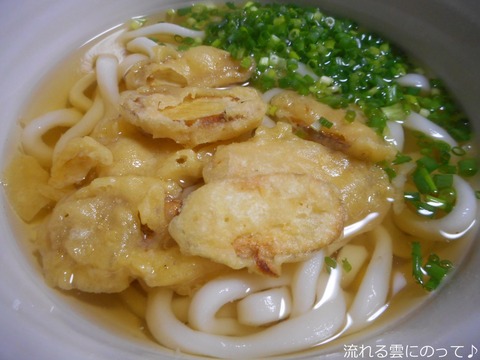 博多ごぼう天うどん