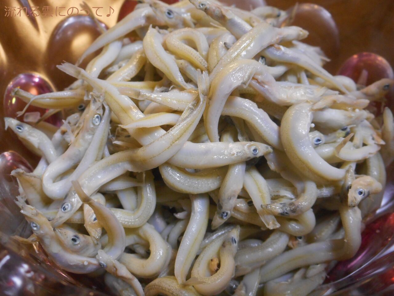 くぎ煮と釜揚げ 流れる雲にのって