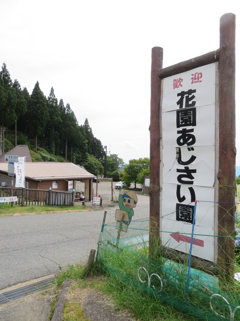 花園あじさい園