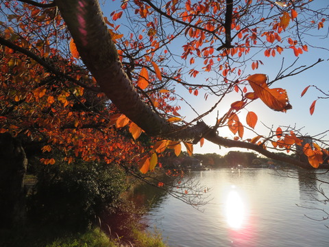 明石公園
