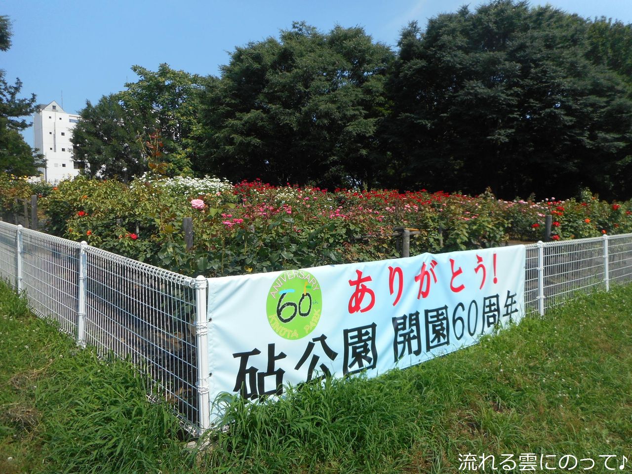 砧公園内の売店にて 流れる雲にのって