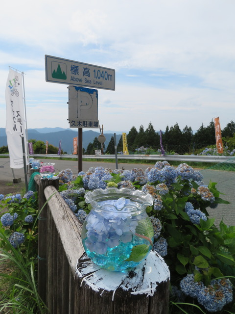 花園あじさい園