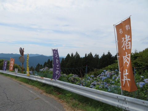 幟