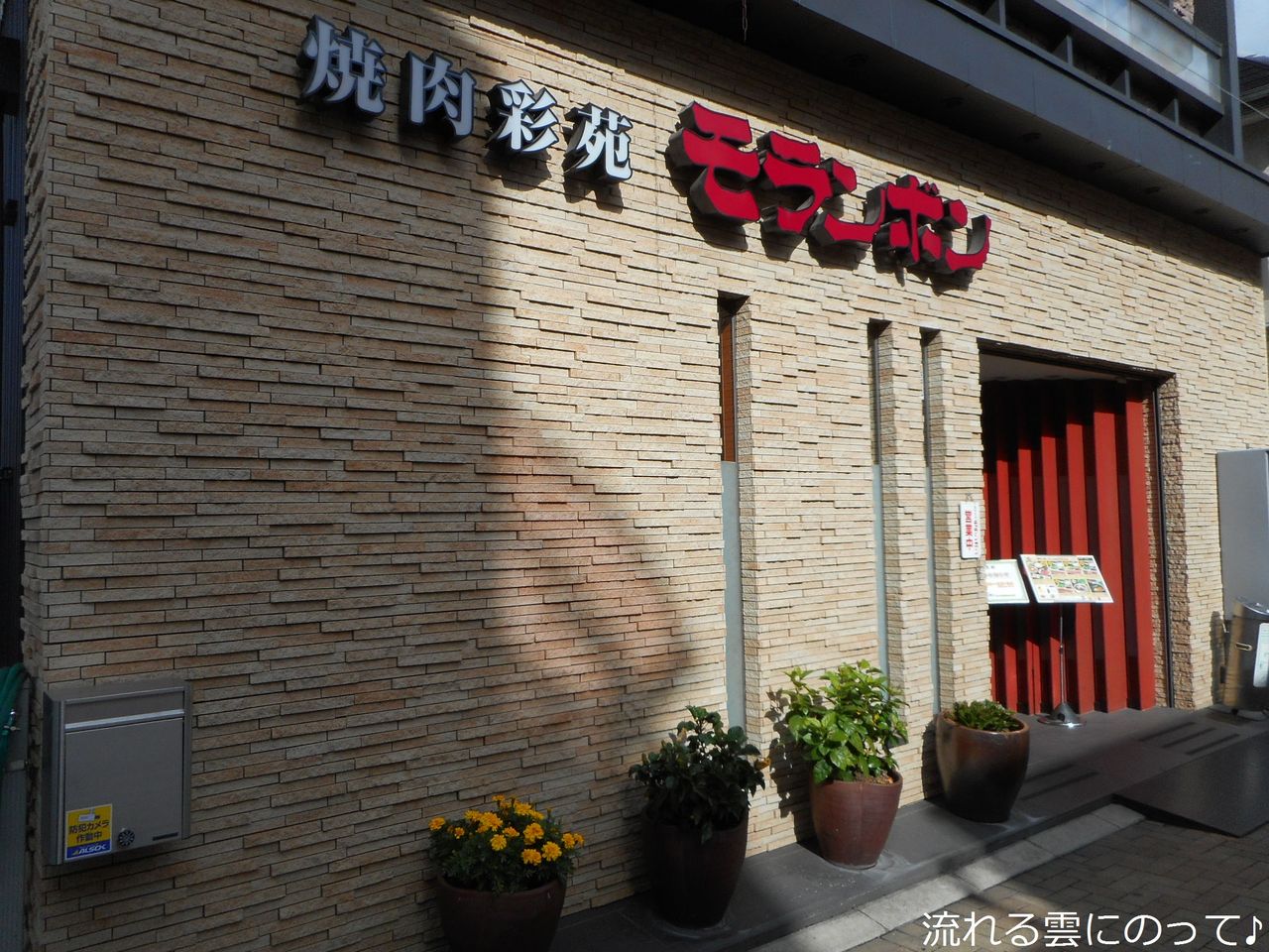 スタミナランチ 流れる雲にのって スタミナランチ 流れる雲にのって