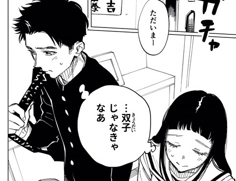双子たちの諸事情 2 (2)
