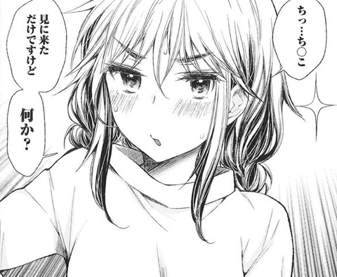 乙女の煩悩を正直に話してみた 3 (2)