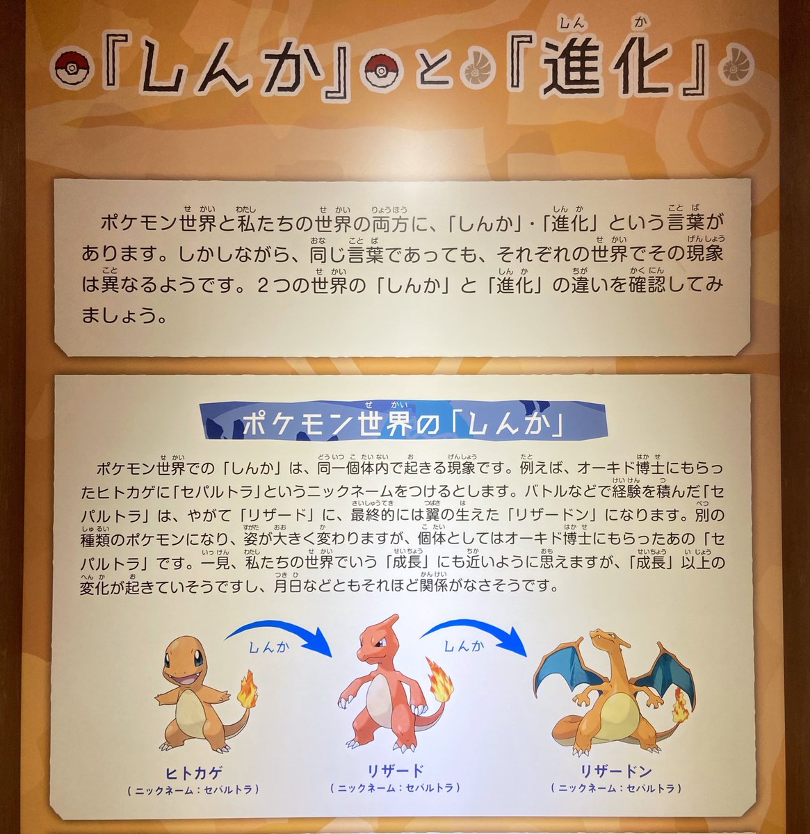 ポケモン化石博物館 22年3月15日 火 ツイ速まとめ