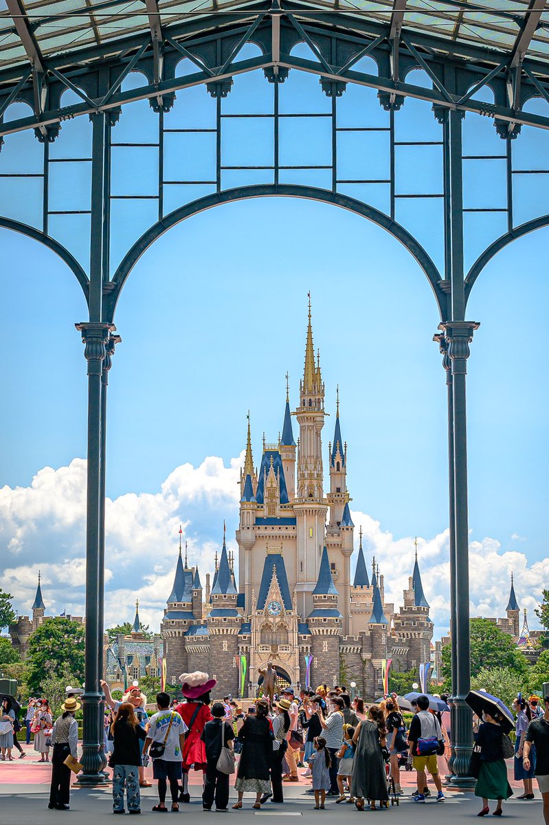 マツコの知らない世界 22年1月11日 火 ツイ速まとめ