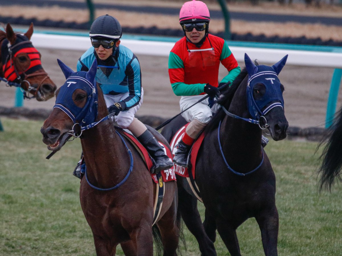 マイネルファンロン 22年1月23日 日 ツイ速まとめ