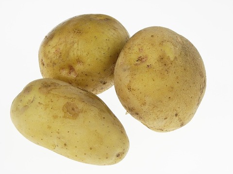 potato