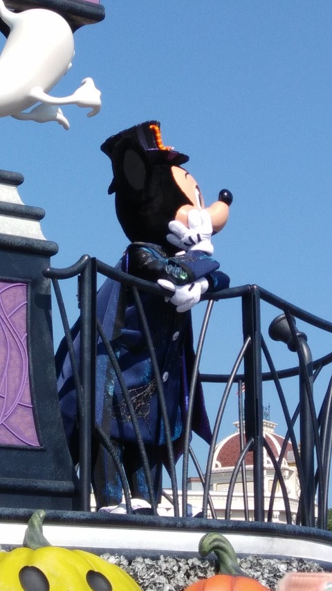 IMG00785