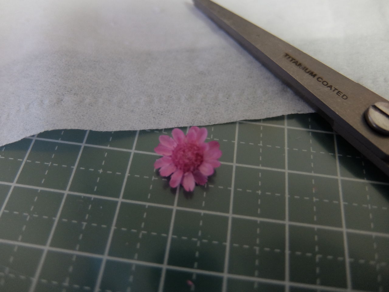 お花をレジンに封入 レジンにチャレンジ