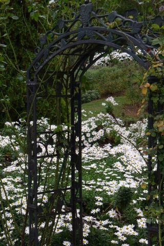 Ȣ 15-6m P1010101-2-c