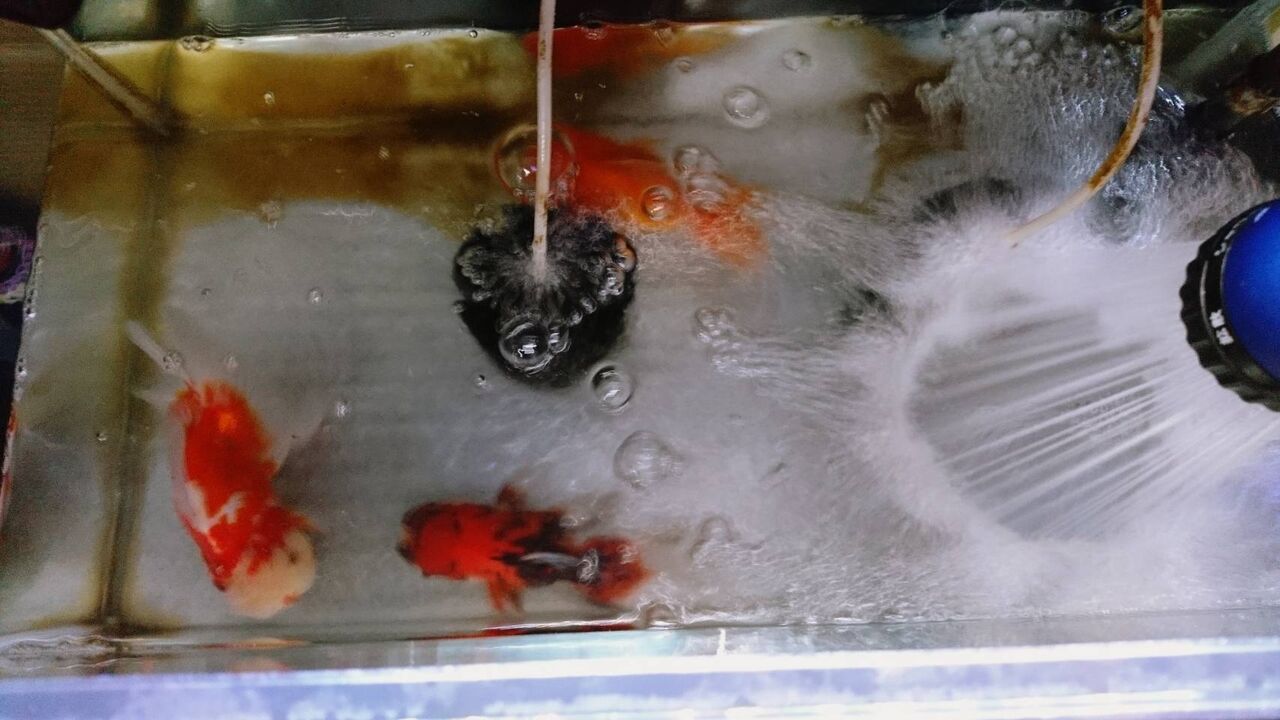 マーフィード浄水器 T Y アクアいろブログ