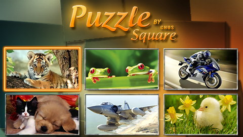 Puzzle Square (5)