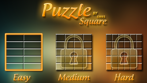 Puzzle Square (13)