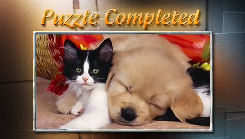Puzzle Square (10)