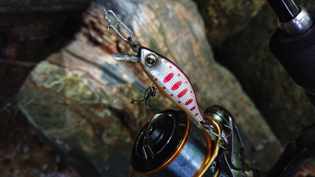 ネイティブトラウト釣行 2日目 ルアーフィッシングジャーナル