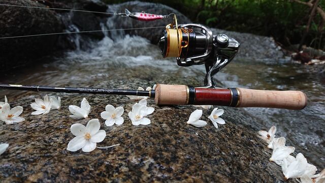 シマノ(SHIMANO) ロッド カーディフ NS S64L