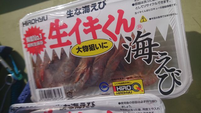 ミニボートで鯛ラバを巻き巻きゴツンっ ルアーフィッシングジャーナル